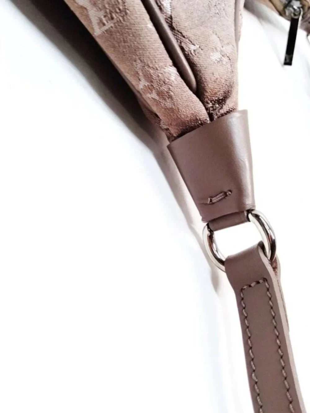 Louis Vuitton authentic louis